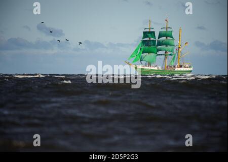 Laboe, Allemagne. 14 octobre 2020. Les trois maîtres 'Alexander von Humboldt 2' navigue le long de la côte près de la municipalité de Laboe à son retour de son premier voyage d'entraînement. Puis la barque, qui remplace actuellement le 'Gorch Fock' comme navire d'entraînement à voile de la marine, amarré à Kiel. Credit: Gregor Fischer/dpa/Alay Live News Banque D'Images