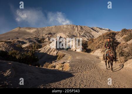 Photo horizontale d'un guide à cheval sur le chemin du Mont Bromo, Bromo - Tengger - Parc national de Semeru, Java, Indonésie Banque D'Images