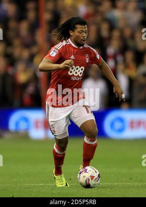 Hildeberto Pereira de Nottingham Forest Banque D'Images