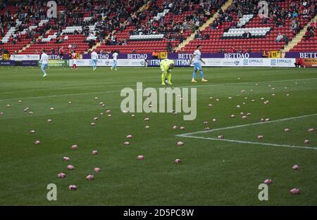 Les fans de Charlton Athletic et de Coventry City organisent une manifestation commune contre leurs propriétaires respectifs comme ils jettent des cochons d'argent en plastique sur le terrain de jeu Banque D'Images