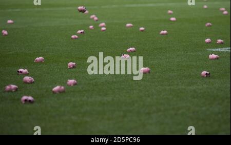 Les fans de Charlton Athletic et de Coventry City organisent une manifestation commune contre leurs propriétaires respectifs comme ils jettent des cochons d'argent en plastique sur le terrain de jeu Banque D'Images