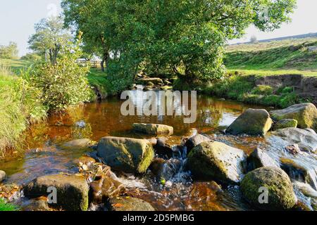 Le ruisseau Burbage coule au-dessus des rochers de pierre à aiguiser lors d'une matinée d'automne brumeuse dans le district de Derbyshire Perak. Banque D'Images