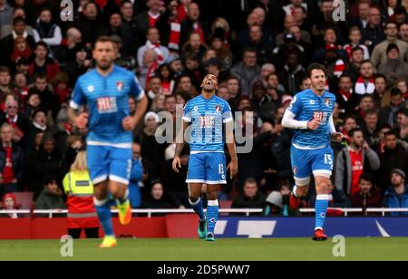 Callum Wilson, de l'AFC Bournemouth, célèbre le premier but de son camp du jeu Banque D'Images