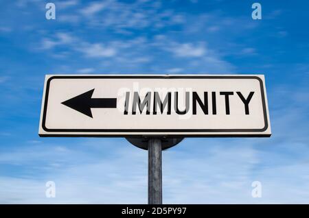 Panneau de route d'immunité, flèche sur fond bleu ciel. Panneau de route vierge à sens unique avec espace de copie. Flèche sur un poteau pointant dans une direction. Banque D'Images