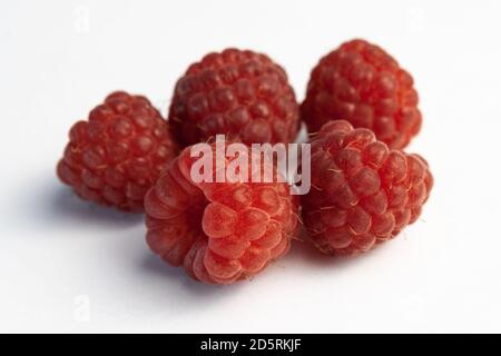 Cinq framboises mûres isolées sur fond blanc. Framboises fraîches sans feuilles sur la table. Prise de vue macro. Sain et sain FO Banque D'Images