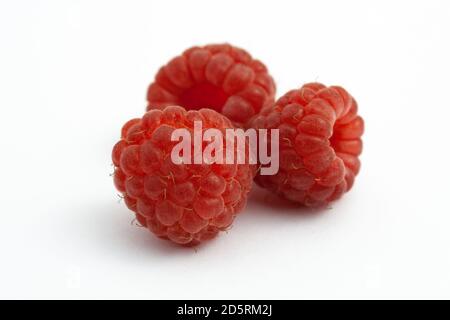 Trois framboises mûres isolées sur fond blanc. Framboises fraîches sans feuilles sur la table. Prise de vue macro. Sain et sain f Banque D'Images