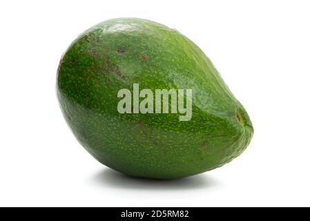 avocat vert entier Banque D'Images