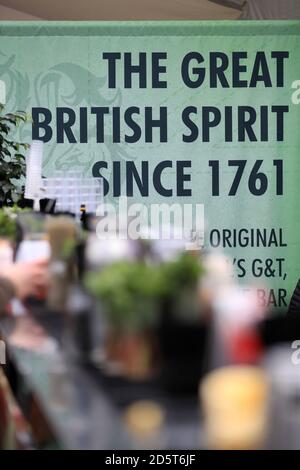 Une vue générale des Greenalls, de la marque et de la signalisation du Grand Esprit britannique lors de la St Patrick's Day of the Cheltenham Festival 2017 Banque D'Images