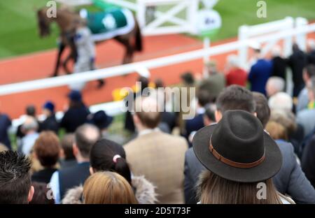 Les Racegoers regardent les chevaux dans l'anneau de parade pendant le premier jour Du Festival Cheltenham 2017 Banque D'Images
