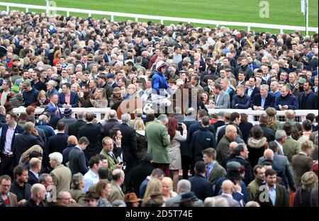 Les Racegoers regardent les chevaux dans l'anneau de parade pendant le premier jour Du Festival Cheltenham 2017 Banque D'Images