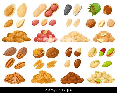 Noix de dessin animé. Amande, arachide, noix de cajou, noisettes, graines de tournesol et pistache, nourriture de noix illustrations vectorielles isolées ensemble d'icônes Illustration de Vecteur