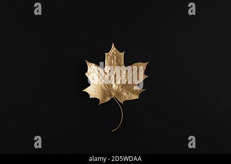 Feuille d'érable doré brillant sur fond noir. Flat lay, vue de dessus. Concept de composition minimale d'automne. Banque D'Images