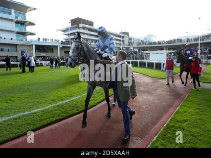 Jabulani monté par le jockey Sam Twiston-Davies dans le ring de pré-parade Avant l'obstacle des novices de Ballymore pendant le premier jour du Présentation à l'hippodrome de Cheltenham Banque D'Images