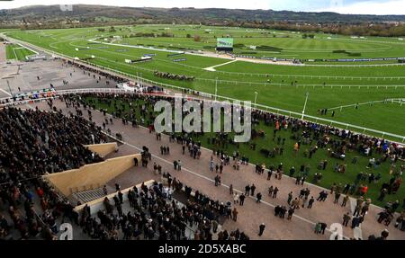 Coureurs et cavaliers dans la course d'obstacles de Pertemps Network handicap Pendant la deuxième journée de la vitrine à l'hippodrome de Cheltenham Banque D'Images