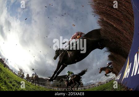 Un beau Roman, criblé par le jockey James Best en action Dans le Randox Health Handicap Chase pendant le deuxième jour de Le Showcase de Cheltenham Racecourse Banque D'Images