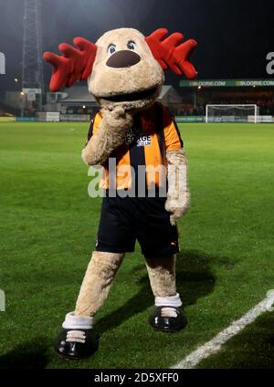 Marvin The Moose, mascotte unie de Peterborough Banque D'Images
