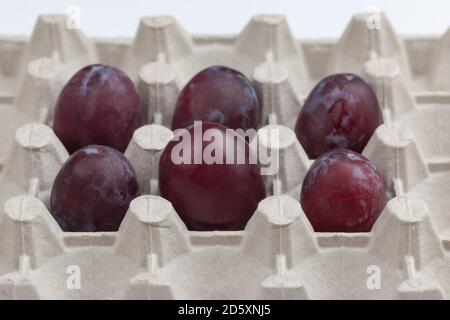 six prunes violettes dans une cage à œufs Banque D'Images