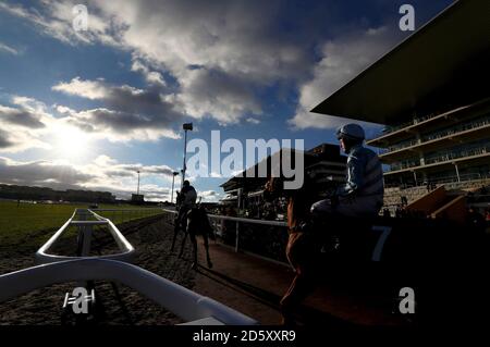 Champagne City, criée par Noel Fehily, sort pour poster Avant la course de haies Catesby handicap pendant le premier jour de La rencontre internationale à l'hippodrome de Cheltenham Banque D'Images