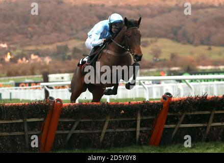 Daisy de Sivola, criée par Jockey Chester Williams pendant le L'obstacle handicap de l'OLBG Mares pendant le deuxième jour de l'International Rencontre à l'hippodrome de Cheltenham Banque D'Images