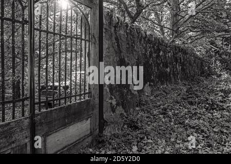 Pittoresque mur en pierre et porte à l'automne. Noir et blanc. Banque D'Images