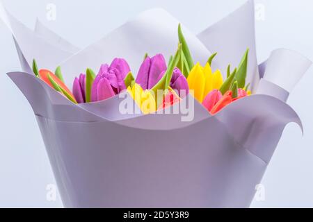 bouquet de tulipes multicolores enveloppées de papier violet clair Banque D'Images