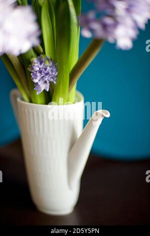Vieux pot de café utilisé un vase de fleurs Banque D'Images