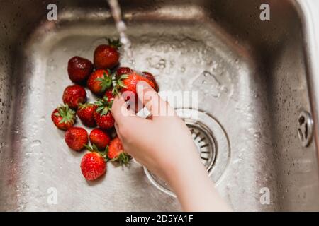 Laver à la main les fraises dans un évier Banque D'Images