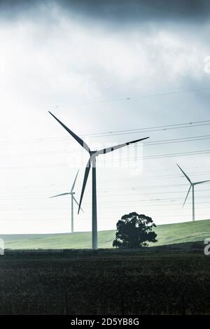 Espagne, Andalousie, Tarifa, trois roues du vent sur une colline Banque D'Images