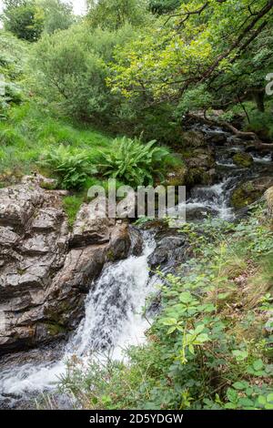 La rivière East Okement sur Dartmoor à Devon Banque D'Images