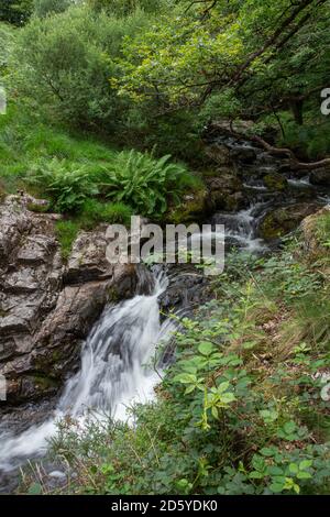 La rivière East Okement sur Dartmoor à Devon Banque D'Images