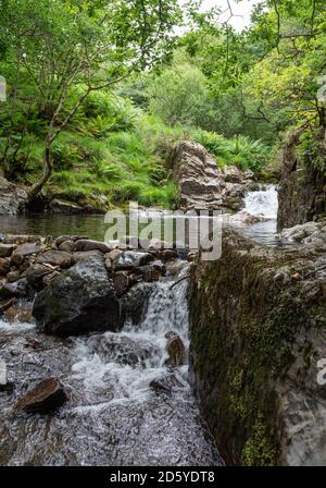 La rivière East Okement sur Dartmoor à Devon Banque D'Images