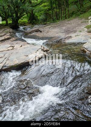 La rivière East Okement sur Dartmoor à Devon Banque D'Images