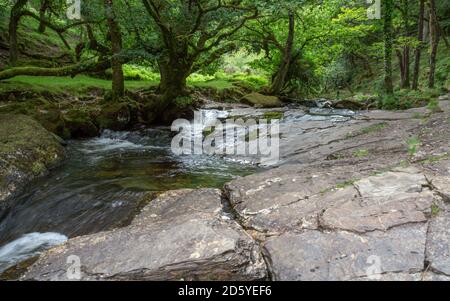 La rivière East Okement sur Dartmoor à Devon Banque D'Images