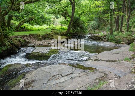 La rivière East Okement sur Dartmoor à Devon Banque D'Images