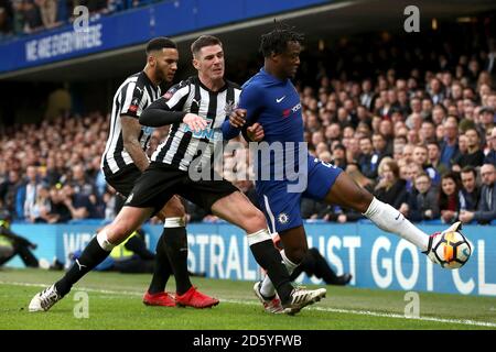 Ciaran Clark (centre) de Newcastle United et Jamaal Lascelles se disputent Michy Batshuayi de Chelsea Banque D'Images