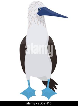Cache-chaussettes à pieds bleus, style dessin animé. Oiseau de mer drôle. Illustration de Vecteur