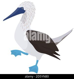 Pose de chaussures à pieds bleus. Oiseau de mer dans le style de dessin animé. Illustration de Vecteur
