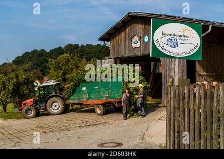 Allemagne, Bavière, Attenhofen, porte de l'hop farm Banque D'Images