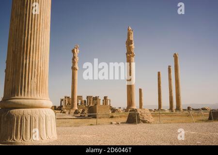 L'Iran, Persépolis, colonnes de Palais Apadana Banque D'Images