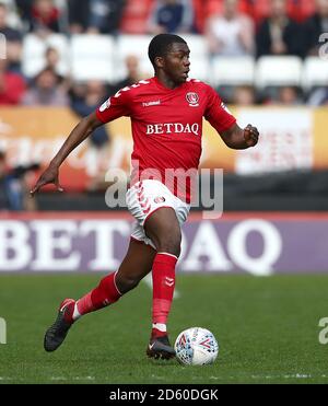 Anfernee Dijksteel, Charlton Athletic Banque D'Images