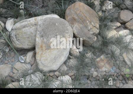Pierres, ou rochers, de différentes tailles dans un jardin d'hiver dans une résidence, avec végétation sèche autour, en macro photo, style d'arrière-plan, Brésil, Sud A. Banque D'Images