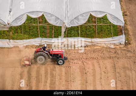 Vue aérienne du tracteur, moissonneuse-batteuse cultivant le champ. Image avec espace pour le texte. Terres agricoles d'en haut Banque D'Images