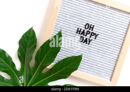 Composition avec feuilles aralia et letterboard avec citation Oh Happy jour Banque D'Images