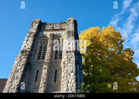 Ryerson United Church (Pacific Spirit United Church) et arbre d'automne à feuilles dorées, Kerrisdale, Vancouver, C.-B., Canada Banque D'Images