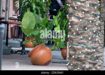 Pots d'argile typiques de santiago à cuba Banque D'Images