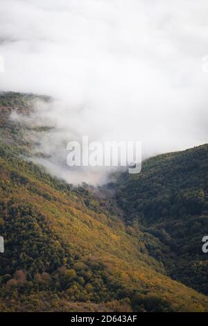 Matin doux, brumeux et brumeux avec des collines couvertes par la forêt de couleur automnale allégée par la lumière du lever du soleil Banque D'Images