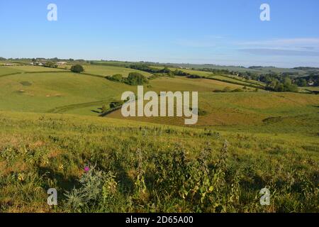 Vue depuis le sentier de Donkey Lane sur les champs verts en direction de Poyntington, Sherborne, Dorset, Angleterre Banque D'Images