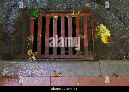 Égout épais et solide intégré dans la route. L'eau de pluie s'écoulant vers l'égout. Saison d'automne. Banque D'Images