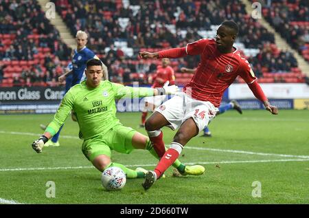 Le gardien de but de Cardiff Neil Etheridge (à gauche) et Jonathan Leko de Charlton Athletic en action Banque D'Images