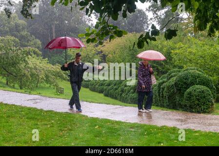 Couple sous la pluie avec parasols, il danse sous la pluie Banque D'Images